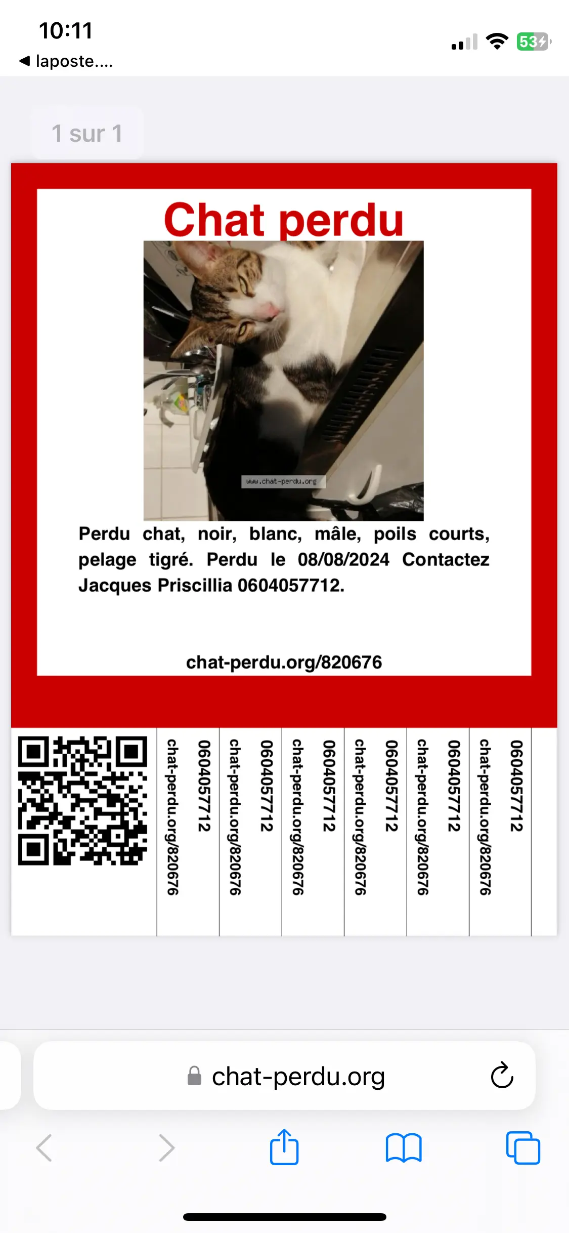 Chat Perdu 57 Moselle