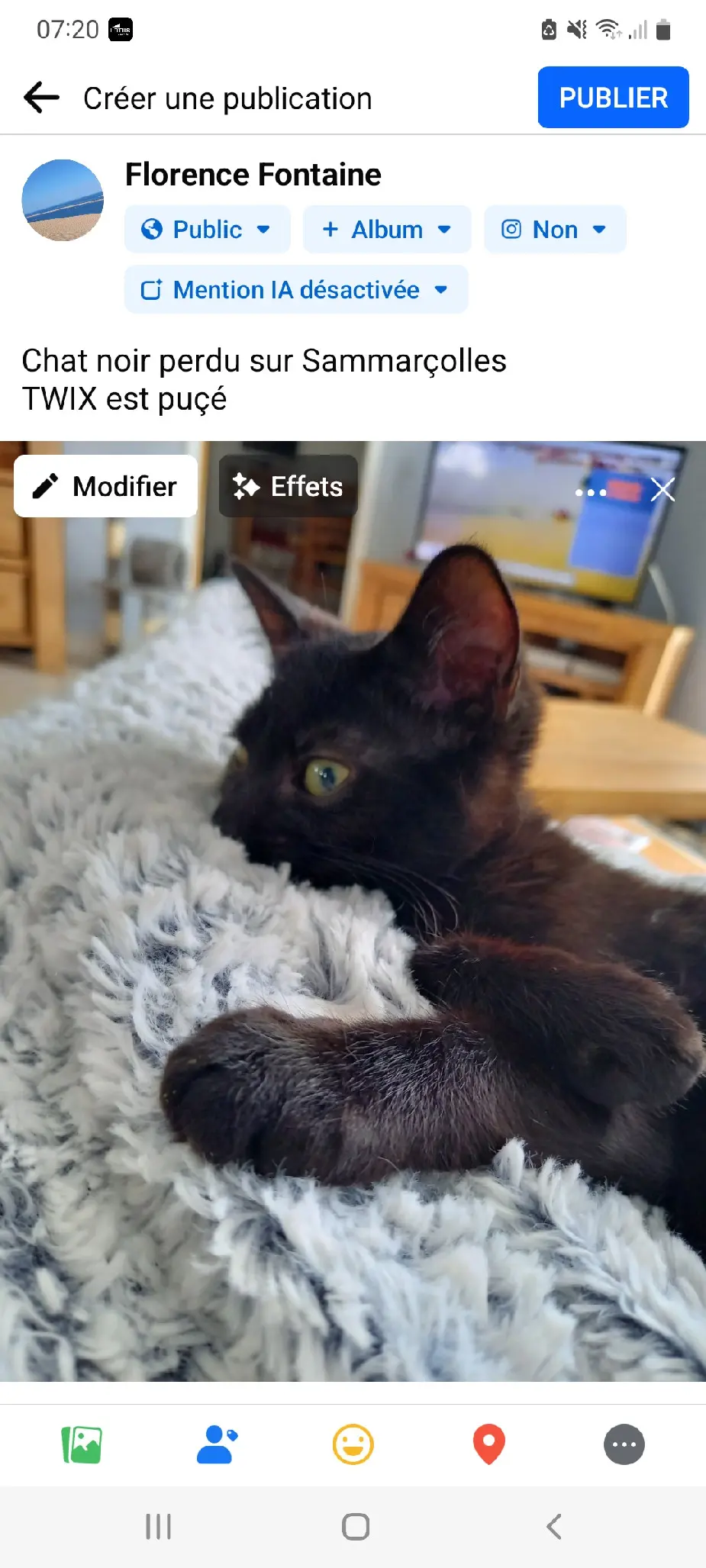 Chat Perdu 86 Vienne - Twix