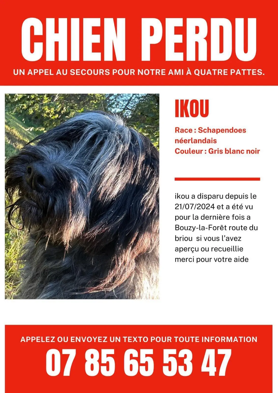 Chien Perdu 45 Loiret - Ïkou