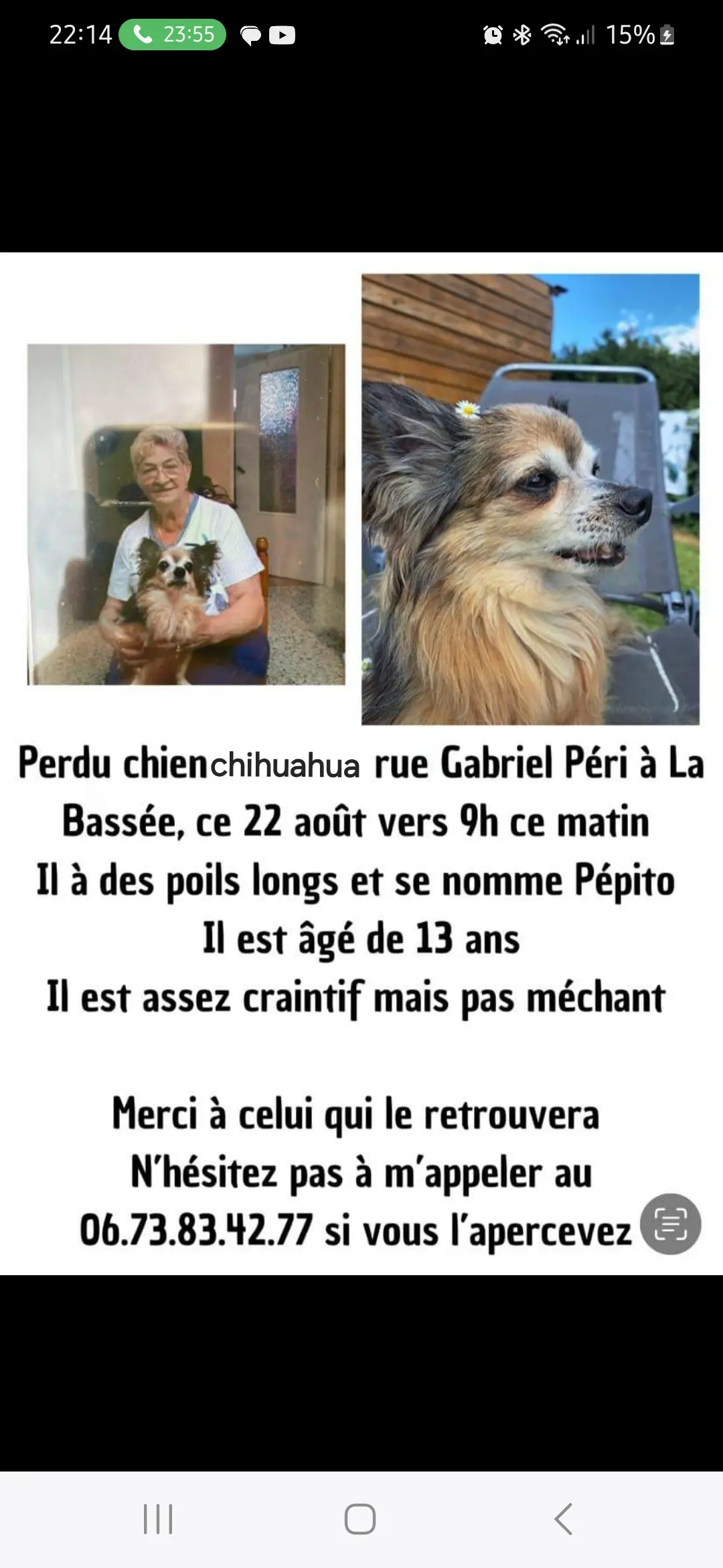 Chien Perdu 59 Nord - Pepito