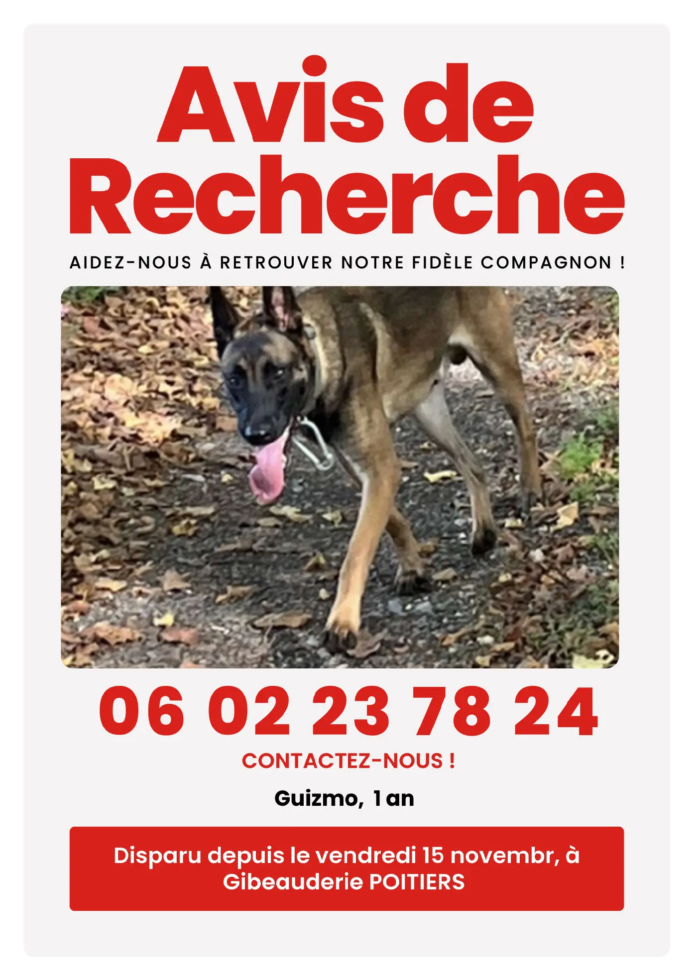 Chien Perdu 86 Vienne Poitiers