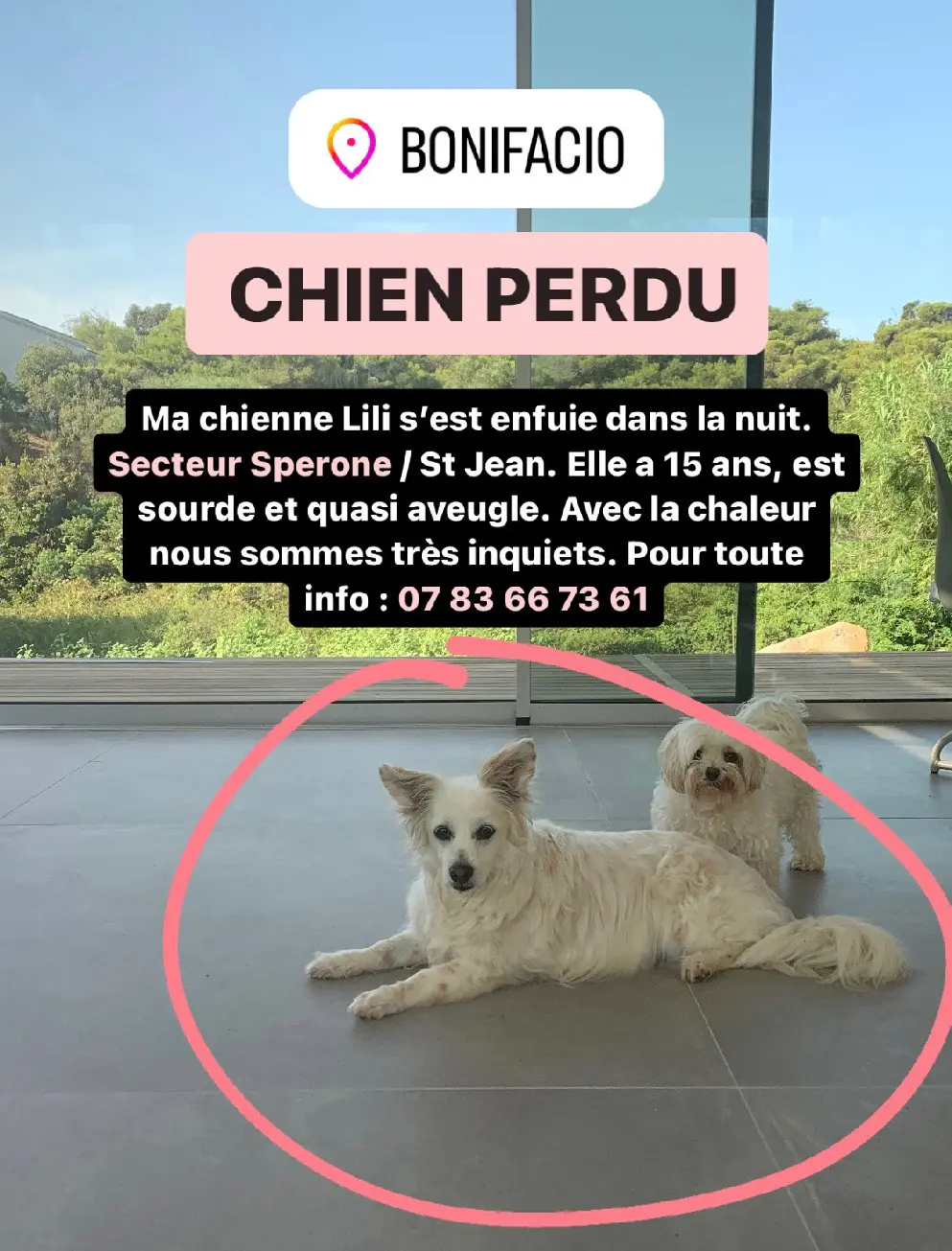 Chienne Perdue 2A Corse-du-Sud